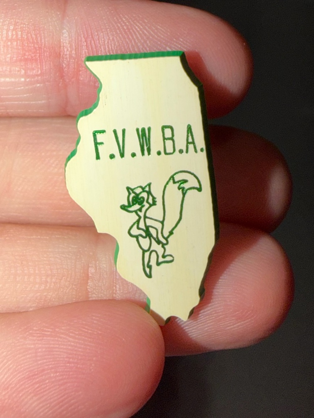 Vintage Illinois-Shaped F.V.W.B.A.‎ Pin - Cream & Green